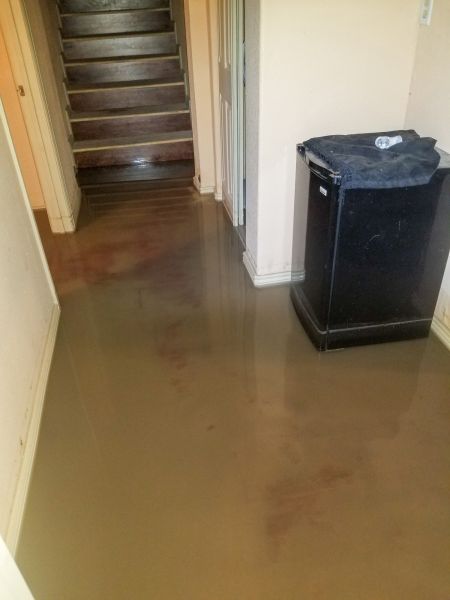 Emergency Water Removal in Jupiter