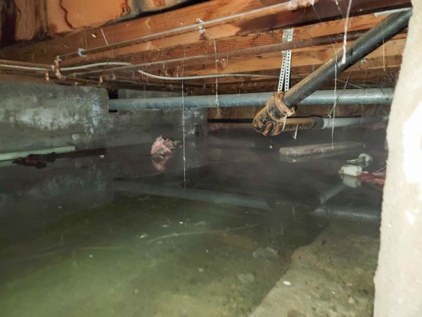 Crawl Space Drying in Jupiter