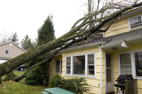 Hurricane Damage Repair in Jupiter